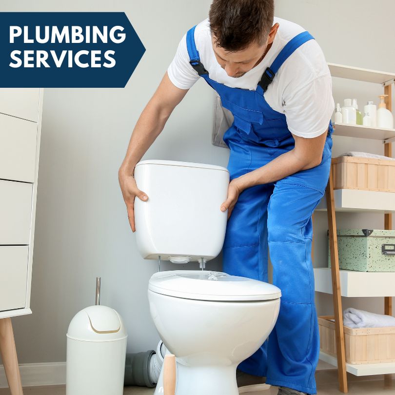Plumbing Company in Riverview, MI